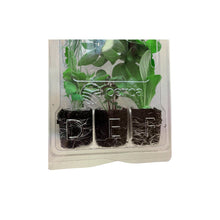 Load image into Gallery viewer, Seedling Clamshells (100-Pack)