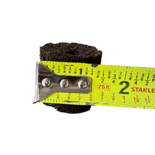 Load image into Gallery viewer, DIY Seed Starter Plugs (504 Count)