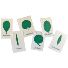 Load image into Gallery viewer, Montessori Bundle