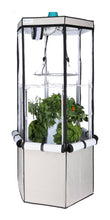 Load image into Gallery viewer, 9-Plant Indoor Hydroponic System