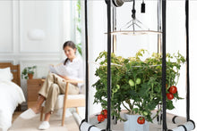 Load image into Gallery viewer, 9-Plant Indoor Hydroponic System
