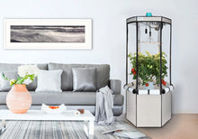 Load image into Gallery viewer, 9-Plant Indoor Hydroponic System