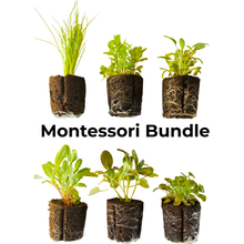 Load image into Gallery viewer, Montessori Bundle
