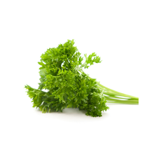 Load image into Gallery viewer, Herb - Parsley (Curly)