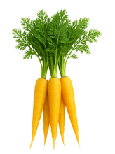 Load image into Gallery viewer, Carrot - Gold