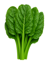 Load image into Gallery viewer, Swiss Chard - Italian