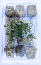 Load image into Gallery viewer, Seedling Clamshells (100-Pack)