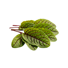 Load image into Gallery viewer, Sorrel - Red Veined