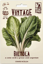 Load image into Gallery viewer, Seeds - Swiss Chard