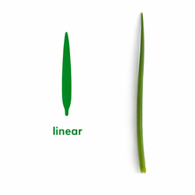 Load image into Gallery viewer, Montessori Bundle
